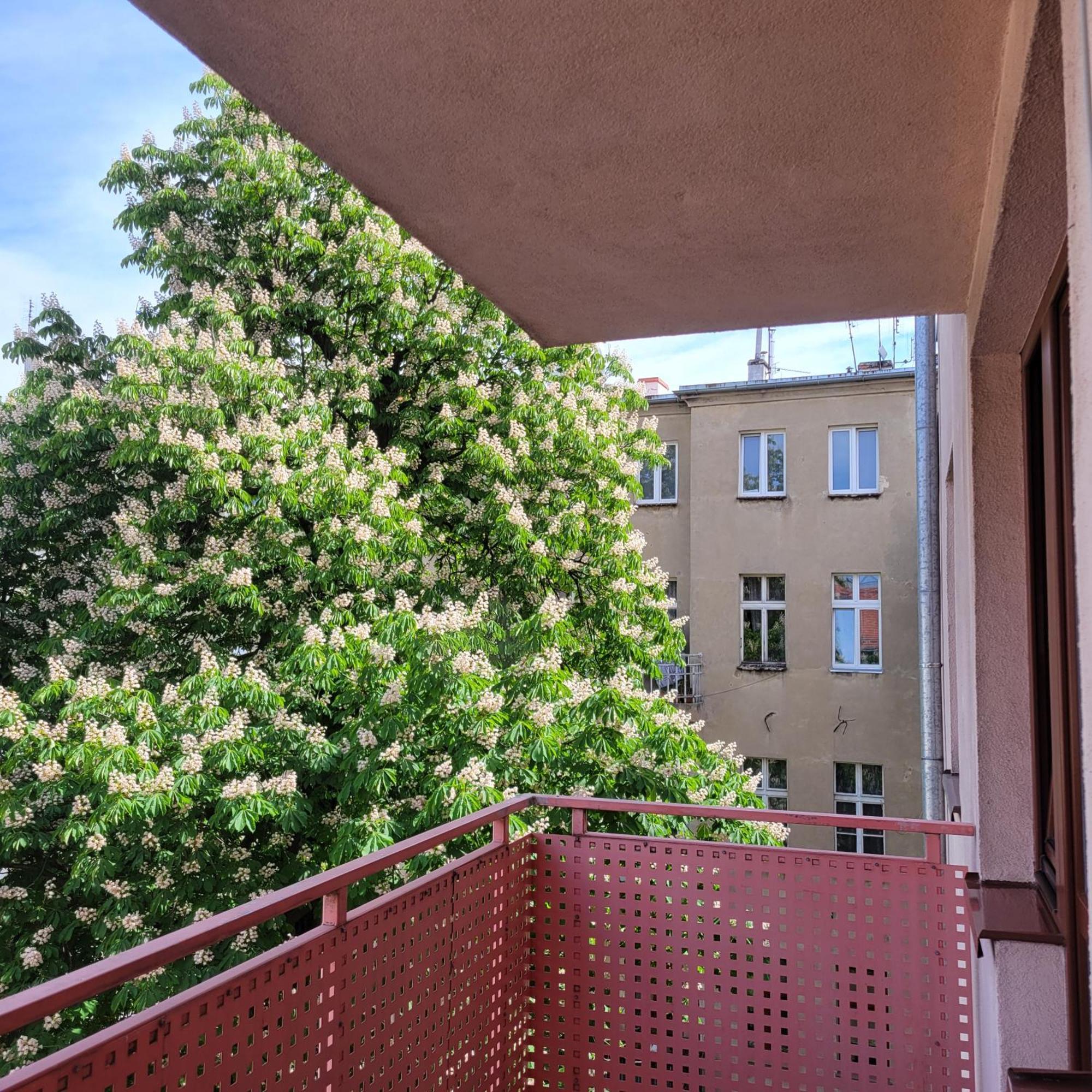 Aura Apartment Wroclaw Bagian luar foto
